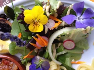 thumb_auberge2_1024