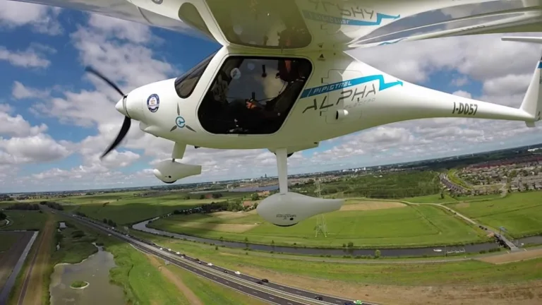 pipistrel