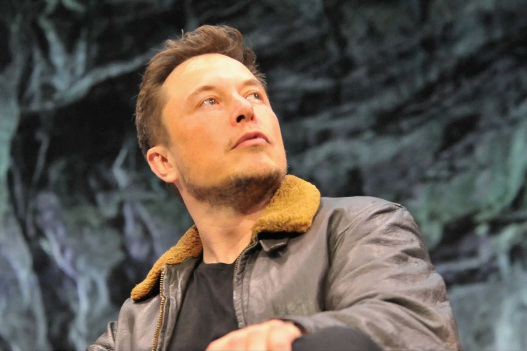 Elon Musk