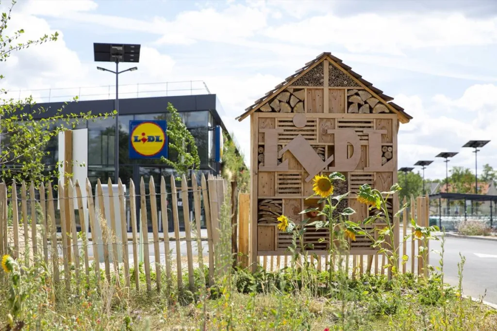 magasin Lidl de Chilly Mazarin