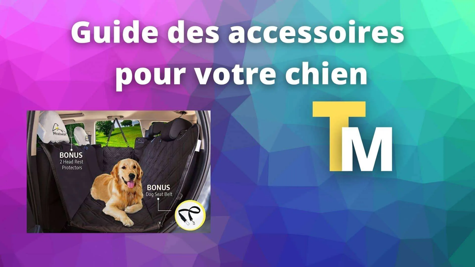 Guide accessoires Chien Tesla