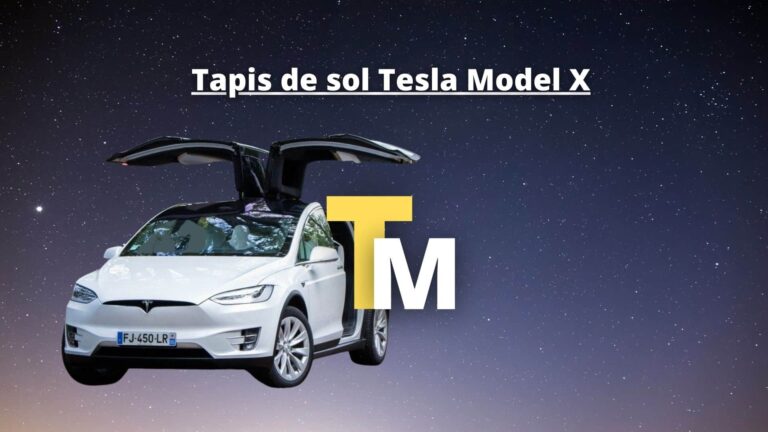 Tesla Model X: Notre sélection de tapis