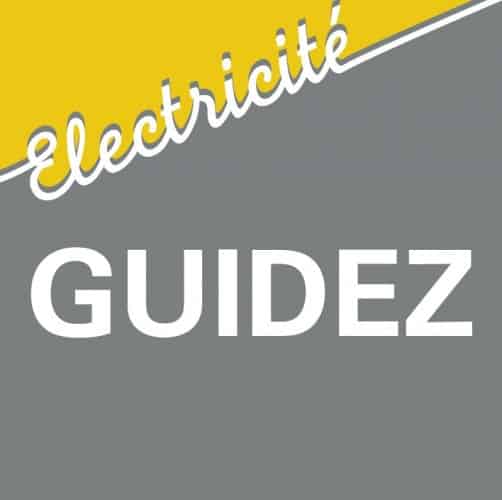 logo ELECTRICITE GUIDEZ SARL, installateur de borne à Tourcoing