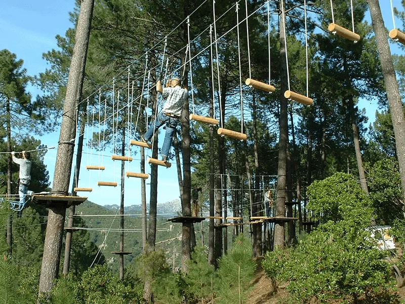 Prendre de la hauteur : parcours d'accrobranche dans l'Albret