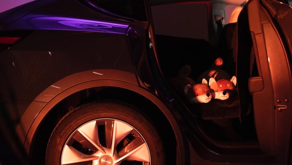 Photo d'une Tesla Model Y, portière arrière droite ouverte, avec deux peluches de chiens sur la banquette arrière