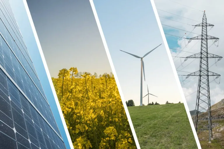 Allemagne : quelle part d&rsquo;énergie renouvelable dans le mix énergétique ?