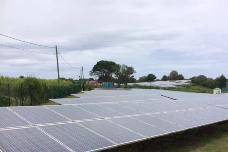 Marie-Galante, la petite île des Antilles en quête d’autonomie énergétique : enquête sur le projet « Agri-voltaïque »