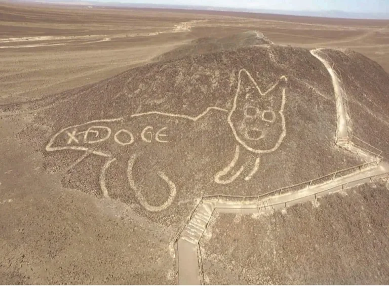 Ovni : Optimus dessine une tête de chien