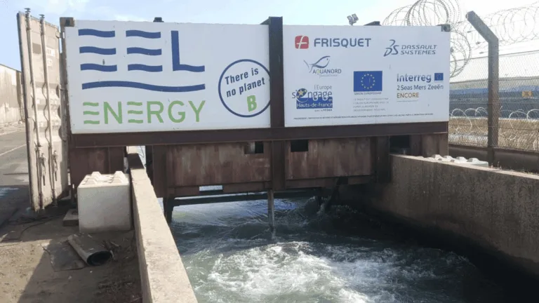 Hydrolienne Biomimétique d&rsquo;EEL Energy : La Révolution Électrique Durable du Rhône Expliquée