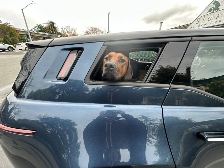 Les propriétaires de Fisker s’affichent avec leur véhicule : Le nouveau statut « pooch » !