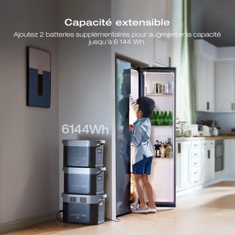 Black Friday 2025 – La station portable EcoFlow DELTA 2 Max 2048Wh « Batterie 3000 cycles LFP » à 999,00 € (-23%)