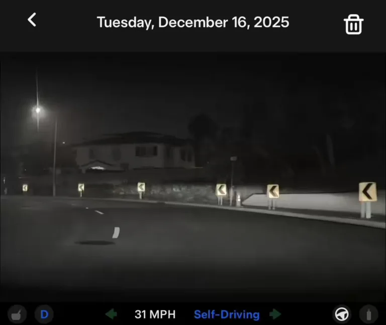Vision Nocturne Infaillible : Comment le FSD de Tesla a évité un piéton dans l&rsquo;obscurité totale
