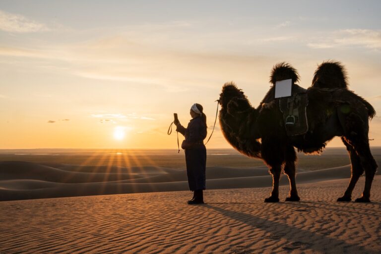 Comment Starlink Révolutionne l’Accès à Internet dans les Zones Réculées