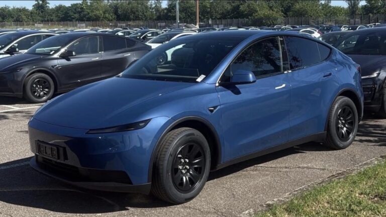 Bleu Côtier sur le Model Y Standard : les premières photos IRL et l&rsquo;histoire du bleu chez Tesla