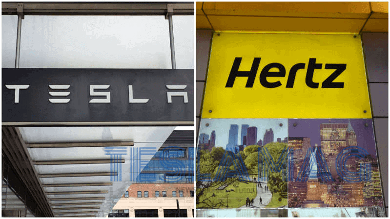 Photo présentant les logos des sociétés Tesla et Hertz