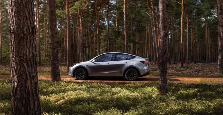 Tesla Model Y Was World’s Best-Selling Car in Q1