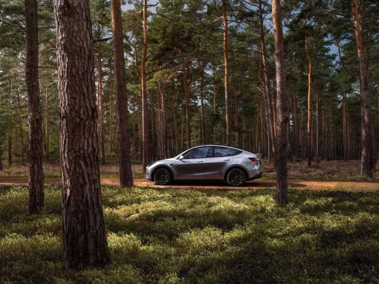 Tesla Model Y Became the Netherland’s Best-Selling Car in 1H ’23