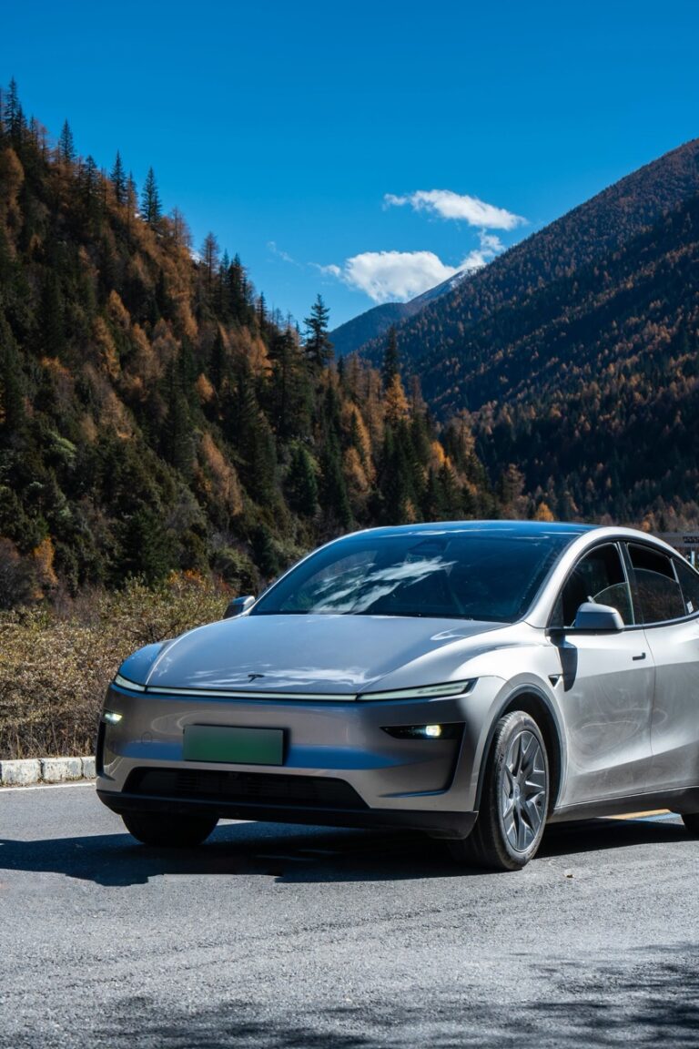 Unveiling the Wonders of the New Model Y L in China’s Scenic Panorama